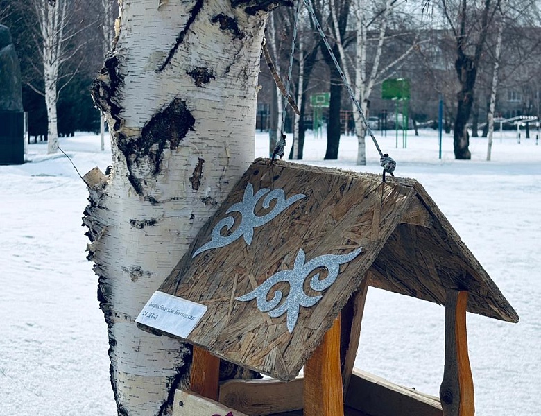 День обновления