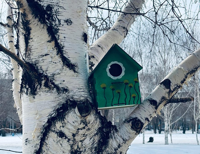 День обновления