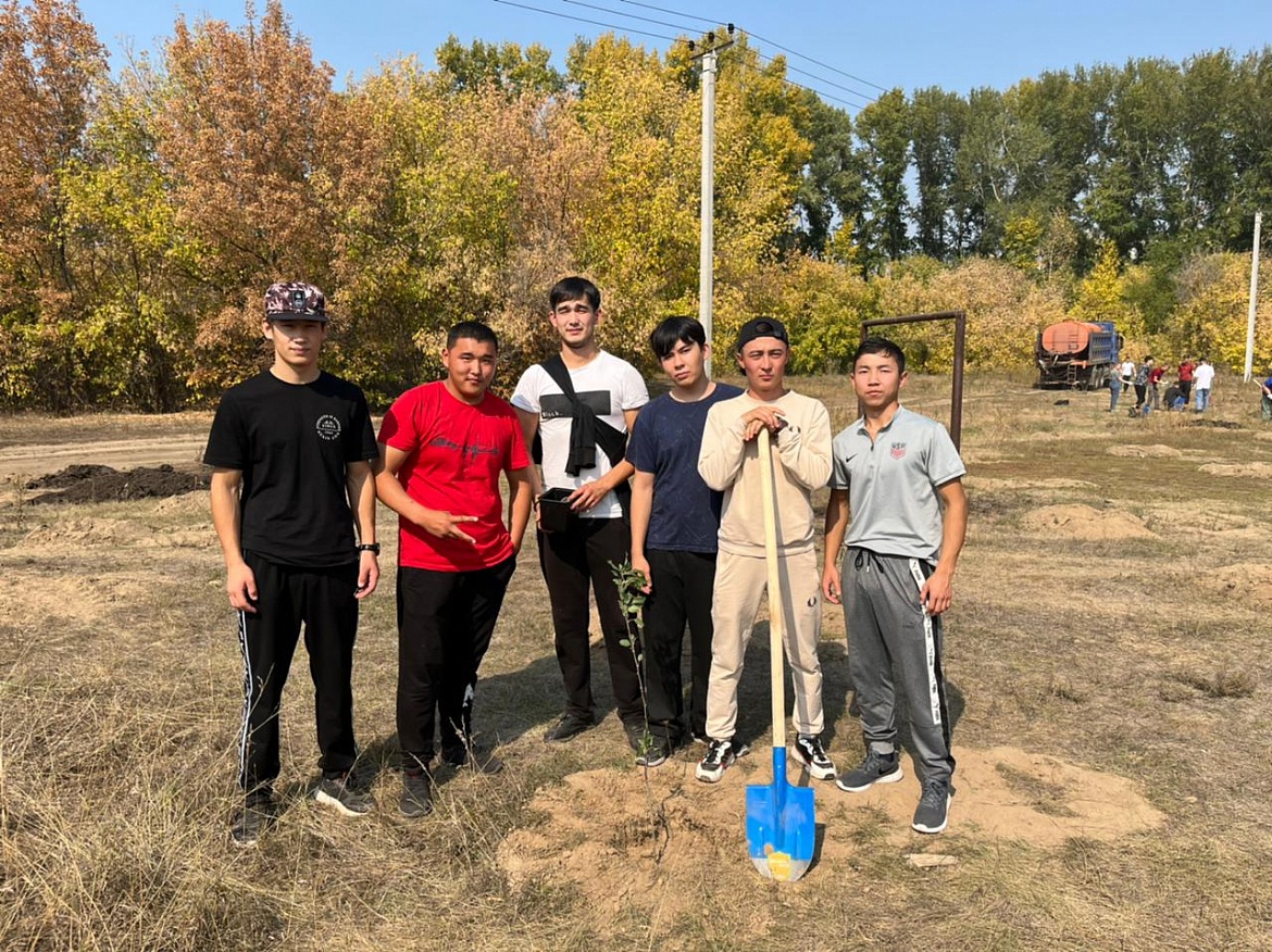 Цвети, цвети, моя Земля!