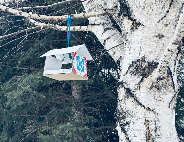 День обновления