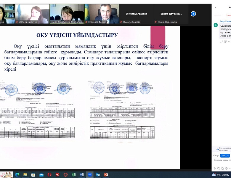 Актуальные проблемы организации педагогического процесса в дополнительном образовании