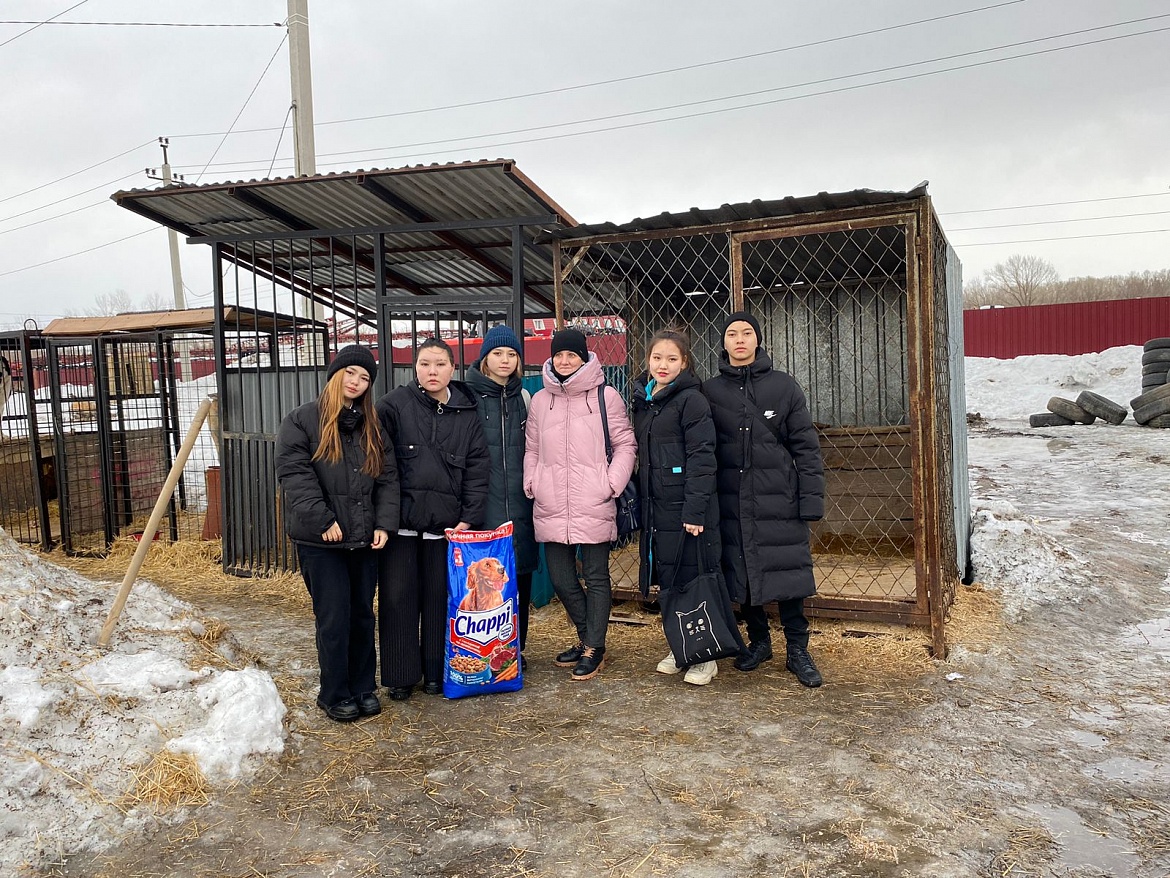 Помощь братьям нашим меньшим!