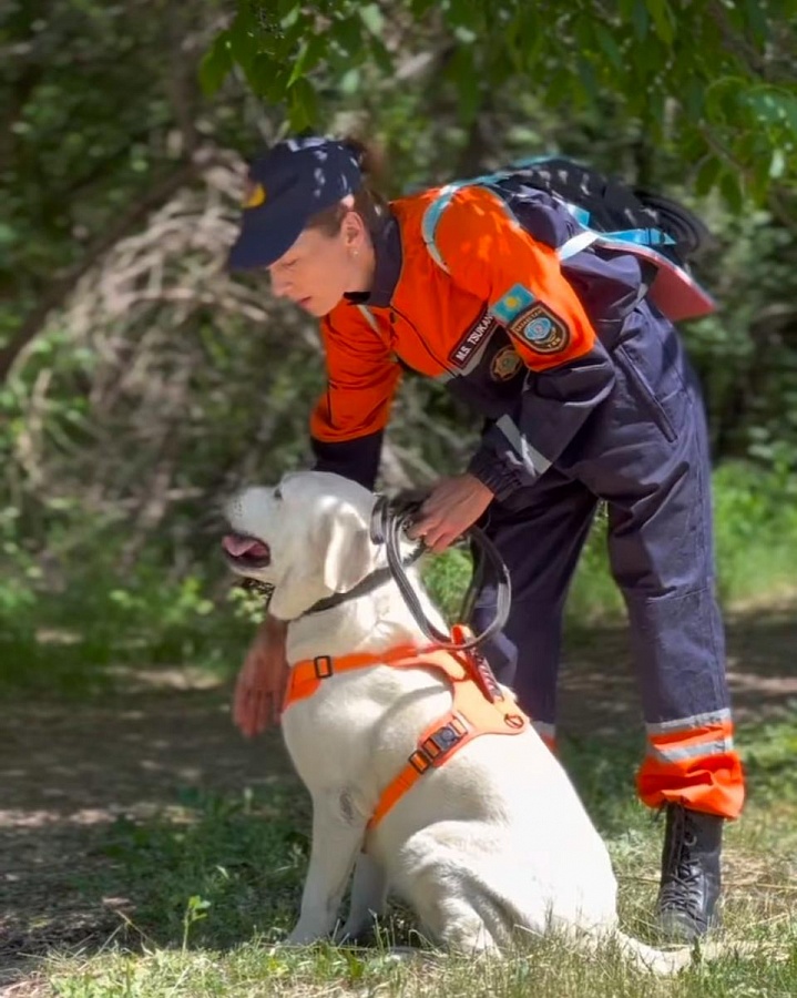 Гражданская оборона