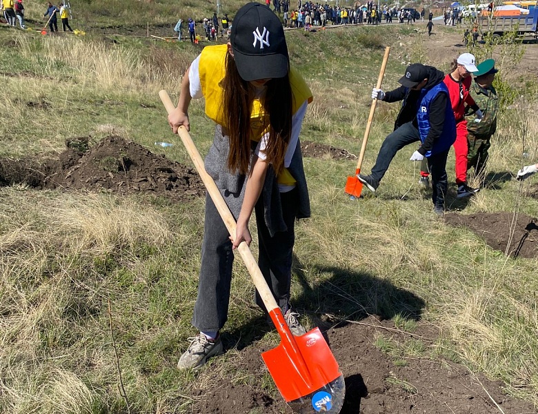 Жасыл аймақ